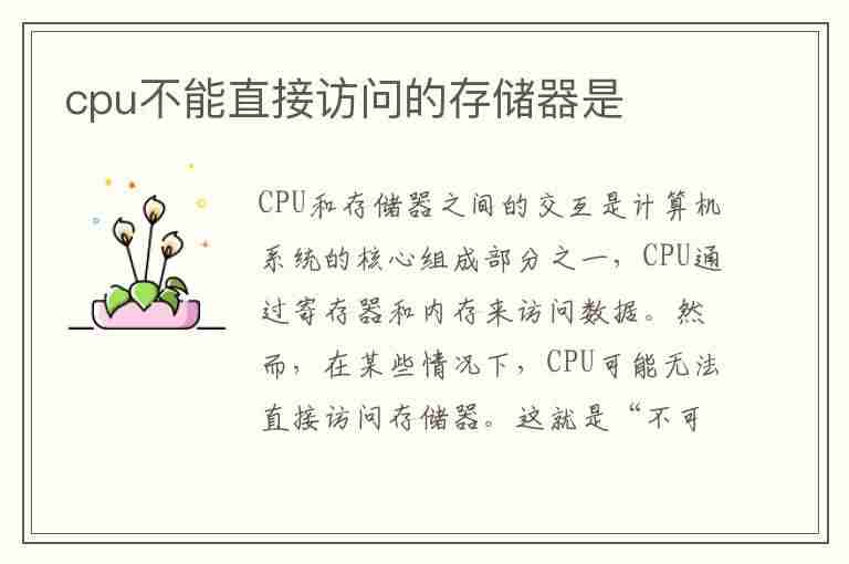 cpu不能直接访问的存储器是